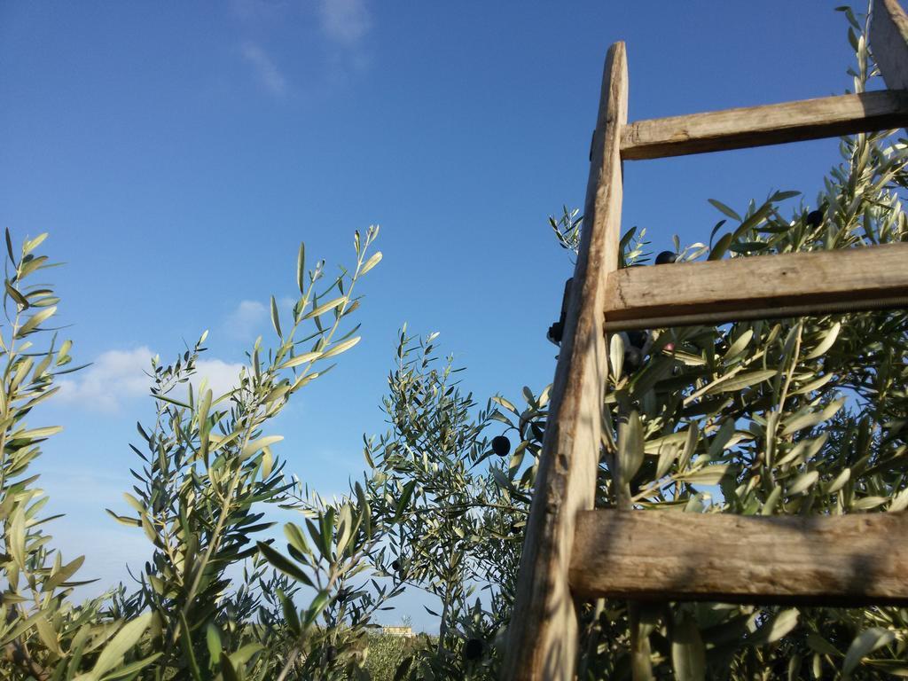 Cambiocavallo Resort Modica Bagian luar foto